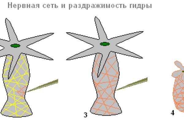 Ссылка на кракен официальный