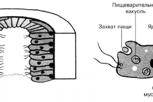 Kraken зеркала kr2web in