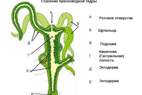 Кракен маркетплейс товары